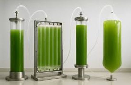 Les protéines fermentées, nouvelle frontière alimentaire ?