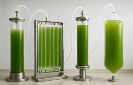 Les protéines fermentées, nouvelle frontière alimentaire ?