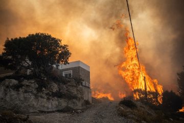 L’impact des feux de forêt sur la biodiversité méditerranéenne