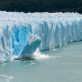 Les conséquences du réchauffement climatique sur les écosystèmes de l’Arctique