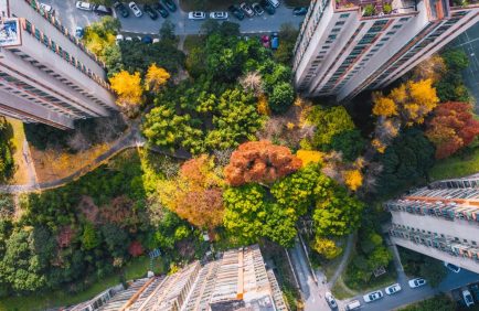 Les forêts urbaines expérimentales interrogent la place du vivant en ville