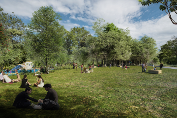 Les forêts urbaines face au réchauffement climatique : défis et solutions