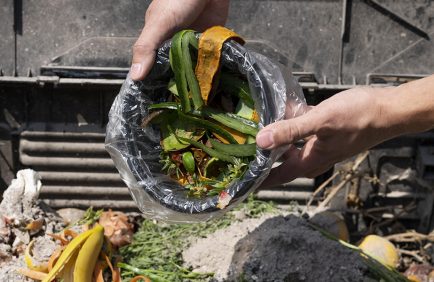 Tri à la source des biodéchets : un an après, les défis à surmonter