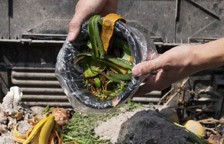 Tri à la source des biodéchets : un an après, les défis à surmonter