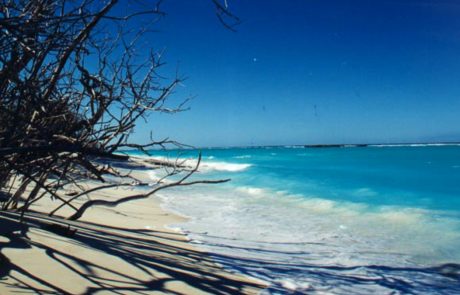 La protection de la biodiversité des îles Eparses est une priorité pour la France