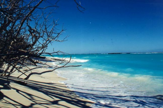 La protection de la biodiversité des îles Eparses est une priorité pour la France