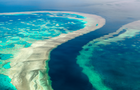 Le Premier ministre australien promet 630 millions d’euros supplémentaires pour protéger la Grande Barrière de Corail