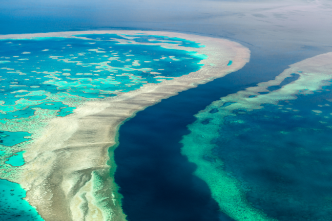 Le Premier ministre australien promet 630 millions d’euros supplémentaires pour protéger la Grande Barrière de Corail