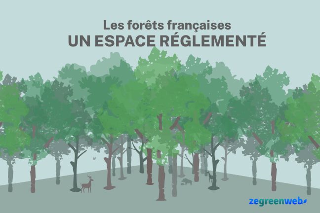 Les forêts françaises : un espace réglementé