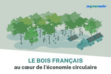 Le bois français, au cœur de l’économie circulaire