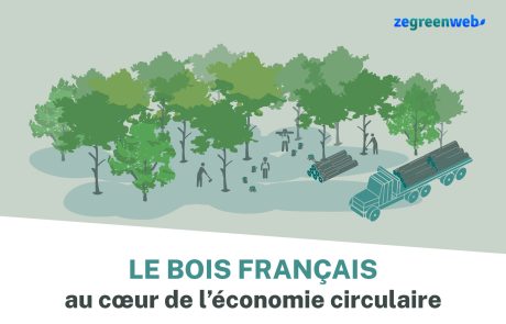 [Infographie] Le bois français, au cœur de l’économie circulaire