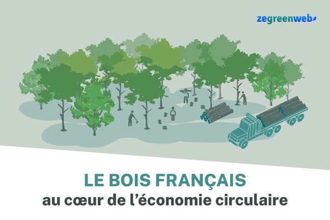 [Infographie] Le bois français, au cœur de l’économie circulaire