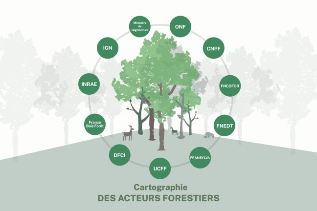 [Infographie] Cartographie des acteurs forestiers