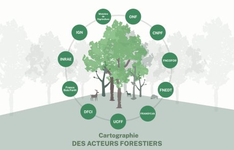 [Infographie] Cartographie des acteurs forestiers