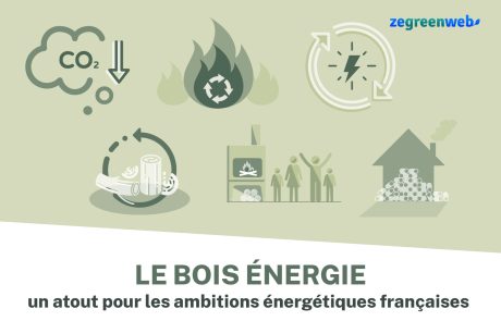 [Infographie] Le bois énergie, un atout pour les ambitions énergétiques françaises
