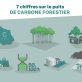 [Infographie] 7 chiffres sur le puits de carbone forestier