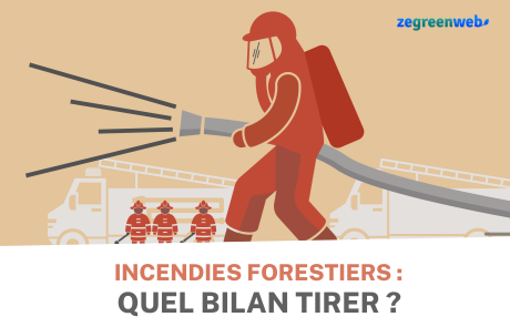 [Infographie] Incendies forestiers : quel bilan tirer ?