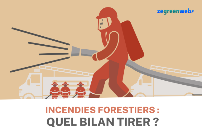 [Infographie] Incendies forestiers : quel bilan tirer ?