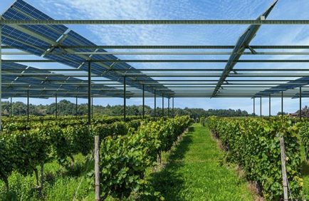 L’agrivoltaïsme s’impose comme un compromis entre production solaire et activité agricole