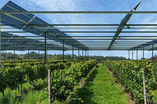 L’agrivoltaïsme s’impose comme un compromis entre production solaire et activité agricole