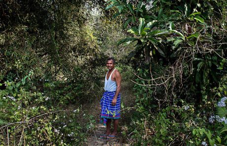 Jadav Payeng : l’homme qui a planté une forêt entière à lui seul