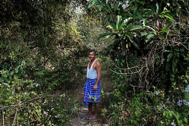 Jadav Payeng : l’homme qui a planté une forêt entière à lui seul
