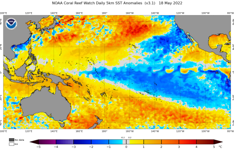 El Nino devrait laisser à la place La Niña au second semestre 2024