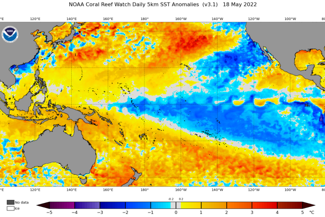 El Nino devrait laisser à la place La Niña au second semestre 2024