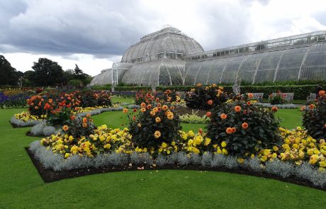 Londres : Temperate House va bientôt rouvrir ses portes