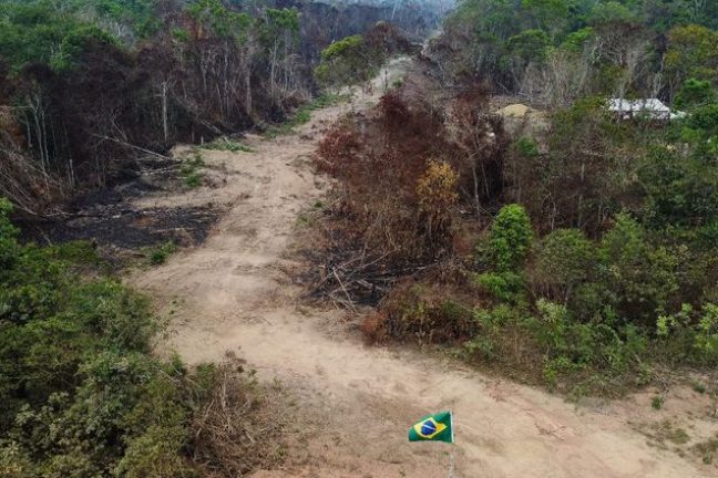 Au Brésil, un assistant de Lula appelle à un sommet sur la forêt amazonienne début 2023