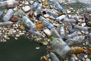 Journée mondiale de l’environnement 2025 : vers un avenir sans plastique