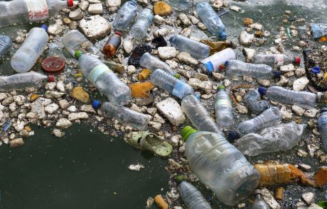 Journée mondiale de l’environnement 2025 : vers un avenir sans plastique