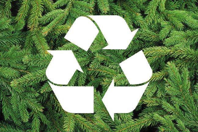 Comment réduire les déchets à Noël