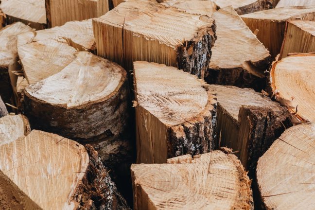 Traçabilité du bois : « La certification PEFC est une solution opérationnelle dont les entreprises peuvent se saisir »