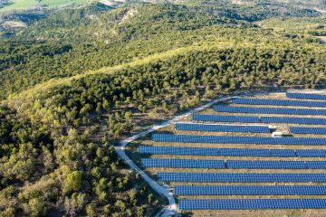 Énergies renouvelables et biodiversité : quels impacts ?