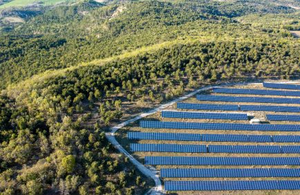 Énergies renouvelables et biodiversité : quels impacts ?