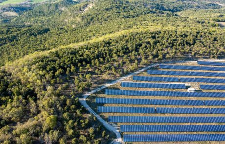 Énergies renouvelables et biodiversité : quels impacts ?
