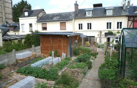 La permaculture urbaine : cultiver la résilience en ville