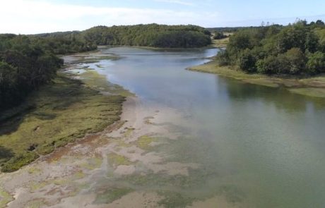 Marc Noyelle (APRC) : « Le projet de sentier littoral sur la rivière du Crac’h menace tout l’écosystème local »