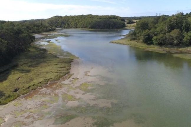 Marc Noyelle (APRC) : « Le projet de sentier littoral sur la rivière du Crac’h menace tout l’écosystème local »