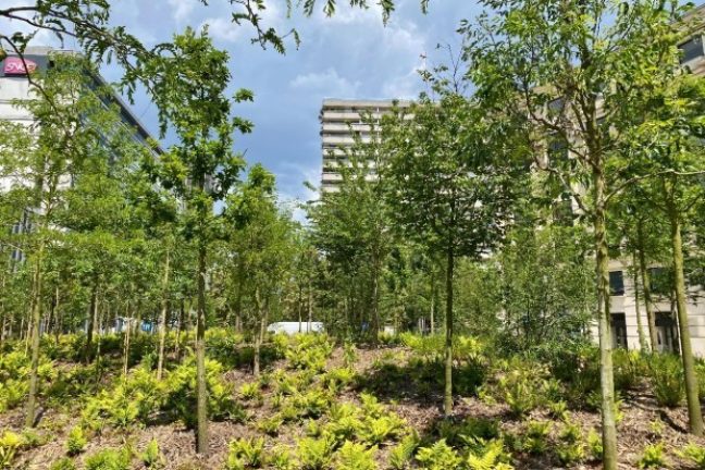 Plan climat de Paris 2024-2030 : objectifs ambitieux pour une capitale plus verte