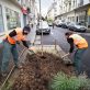Les plans canopée suffisent-ils à verdir nos villes ?