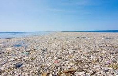 Pollution plastique des océans : quelles solutions pour réduire l’impact ?