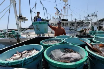 La Russie et la Chine font bloc aux importations de poissons et de fruits de mer en provenance du Japon