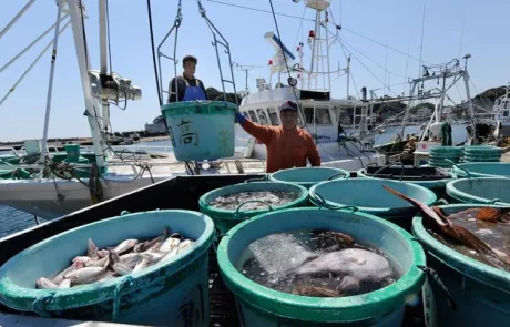 La Russie et la Chine font bloc aux importations de poissons et de fruits de mer en provenance du Japon