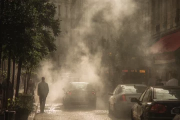 Les allergies environnementales en hausse dans les villes