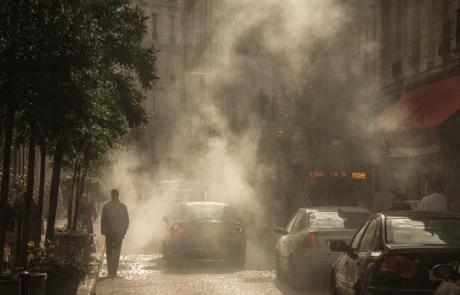 Les allergies environnementales en hausse dans les villes