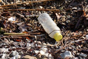 Coca-Cola nommé pire pollueur plastique de la planète pour la deuxième année consécutive