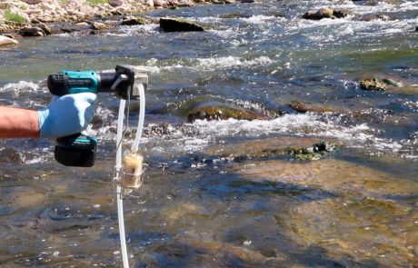 L’ADN environnemental révolutionne le suivi de la biodiversité
