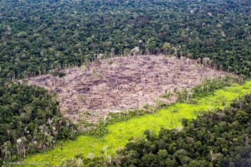 Le Brésil doit prouver à son principal donateur que la protection de l’Amazonie fonctionne